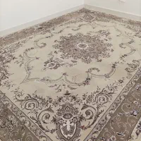 فرش کرم ۱۲ متری