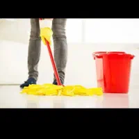 تمیزکار منزل