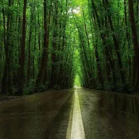 تور۱روزه شمال