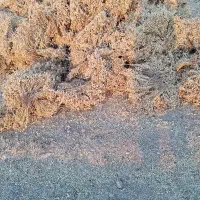 کارگر دسکنه