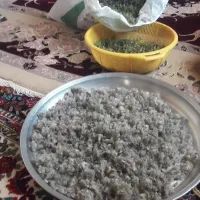 چای کوهی و اویش پا ک شد