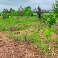 فقط-با-400-میلیون-صاحب-زمین-در-محمودآباد-شوید