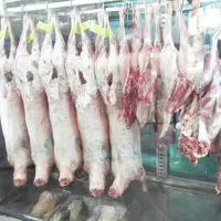 گوشت گوسفندی کهره. بره. تیشتر درجه 1