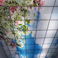 نصاب سقف کاذب ، تایل گچی و پی وی سی
