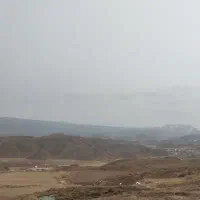 کارگر ساده برای مرغداری و کشاورزی