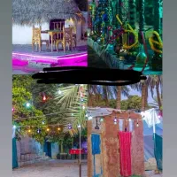 جذب سرمایه گذار برای بوم گردی گردشگری تفریحی|مشارکت در ساخت املاک|رودان, |دیوار