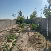 باغچه-اقساط-و-معاوضه-ملک-آباد-املاک-مدرن