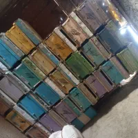 عسل برداشت‌اول کوهی کندو دست دوم برگه امسالی