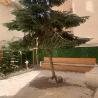 ۱۲۸ متر با ۱۰۰ متر حیاط اختصاصی کاشانک آجودانیه|فروش آپارتمان|تهران, کاشانک|دیوار