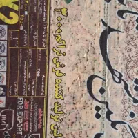 فرش ۱۲ متری نگین تابان|فرش|برخوار, |دیوار