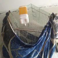 قفس پرنده۳ عدد