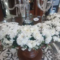 سالن کار آقا