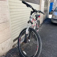 دوچرخه برند ویوا