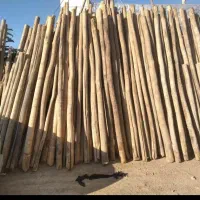 خرید انواع چوب