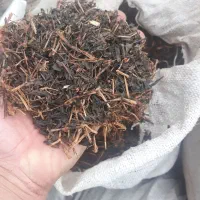 مکمل های خاک گلخانه|عمدهفروشی|رودسر, |دیوار