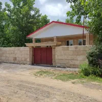 ویلا-جنگلی-سند-دار-آسفالت