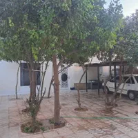 اجاره روزانه/هفتگی/ماهانه سوئیت سینما سعدی|اجارهٔ کوتاه‌مدت آپارتمان و سوئیت|شیراز, سینما سعدی|دیوار