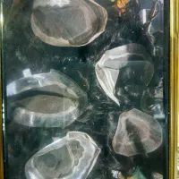 خدمات سیار پروتز و آرایشگری