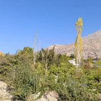 فروش باغ تفریحی موقعیت استثنایی|فروش زمین و ملک کلنگی|سی‌سخت, |دیوار