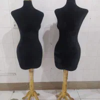 دو عدد مانکن سوزن خور