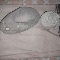 سنگ کلکسیون|کلکسیون اشیاء عتیقه|بندرعباس, |دیوار