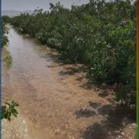 خریدار زمین کشاورزی
