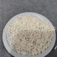 برنج فجر سوزنی