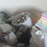 به یک خانم مجرد بابت بسته بندی