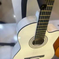 گیتار کلاسیک و پاپ