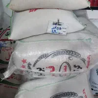 برنج فجر گرگان عرضه مستقیم|خوردنی و آشامیدنی|بیرجند, |دیوار