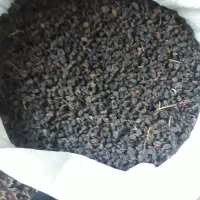 کشمش افتابی واسه اب گیری قیمت ۱۸۰ هزار