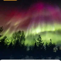 جویای‌کار‌‌‌‌