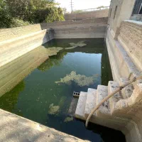 فیلستان الوئک