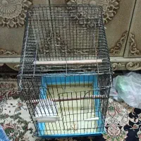 قفس|لوازم جانبی حیوانات|قم, حنیف نژاد|دیوار