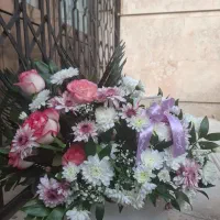 گل طبیعی|گل و گیاه طبیعی|مشهد, عامل|دیوار