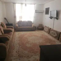 یک جفت فرش 12متری