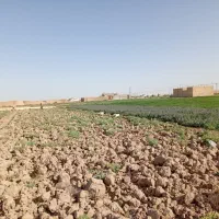 زمین سرچشمه زارچ