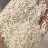 برنج هاشمی خوش طعم|خوردنی و آشامیدنی|رشت, دیلمان|دیوار