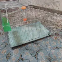 قفس پرنده