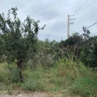 ۲۴۰متر شهرکی در محله برند