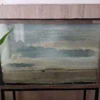 آکواریوم ماهی محکم ودرجه یک