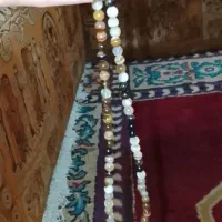 تسبح عین الحر