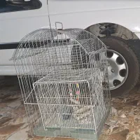 قفس پرنده|لوازم جانبی حیوانات|سنندج, |دیوار