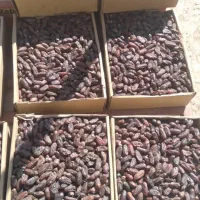 خرما ربی درجه یک