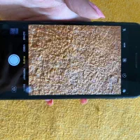 سون پلاس 7 plus|موبایل|شیرگاه, |دیوار
