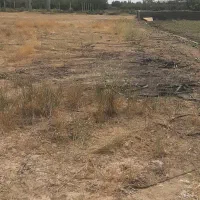 یک هکتار زمین مناسب