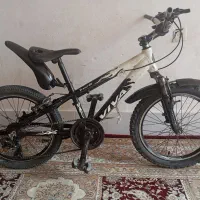 دوچرخه 20خارجی ویوا