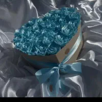 گل فروشی|حراج|مشهد, کشف|دیوار