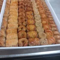 مواد غذایی آراد(پخش نان پایا )