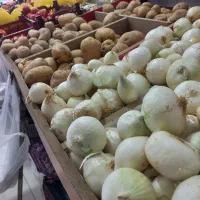 به یک شراکت درمیوه وسبزی فروشی